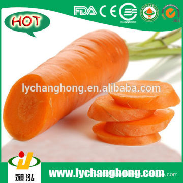 2014 New Crop China Shandong Fresh Carrot